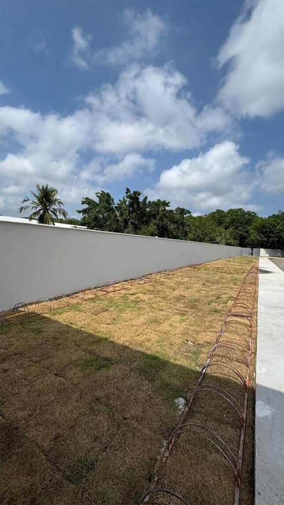 Foto da galeria de projetos: Limpeza